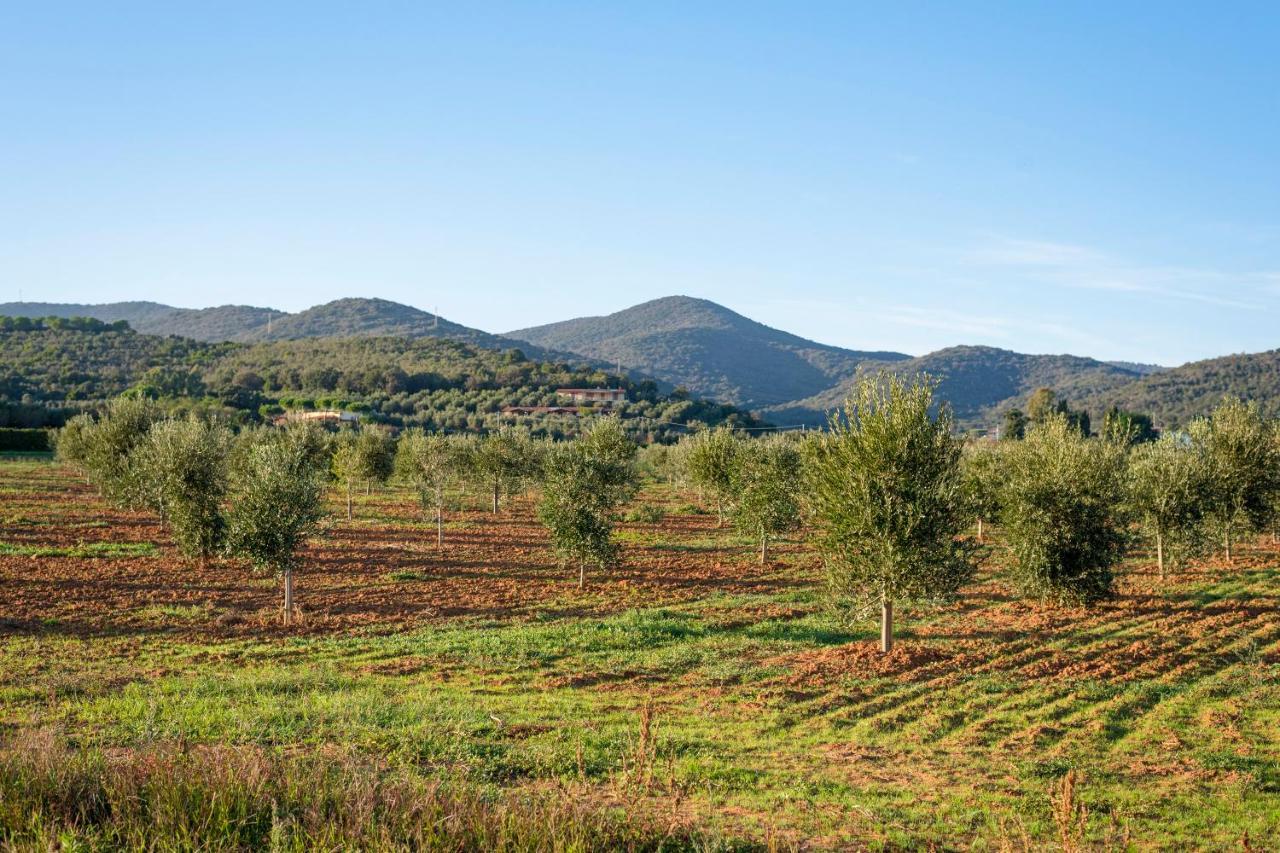 Agriturismo Terre Di Castiglione Castiglione della Pescaia Exterior foto